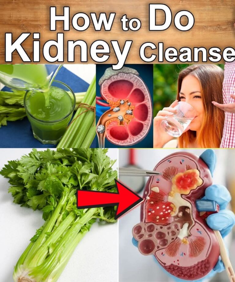 Ancient Herbal Infusion to Cleanse the Kidneys and Eliminate Toxins