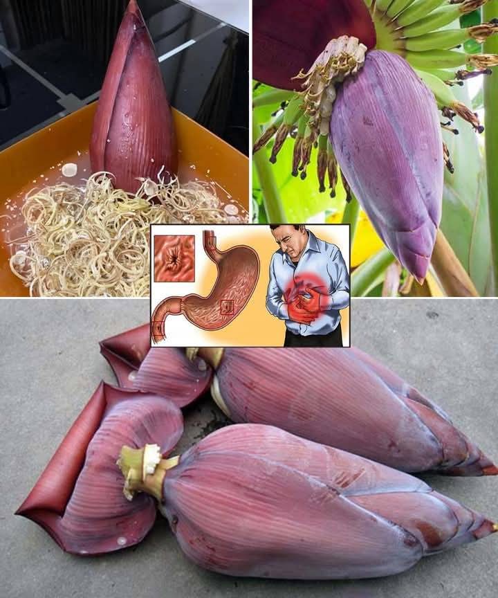 Banana Blossom: Health Benefits, Recipes, and Uses