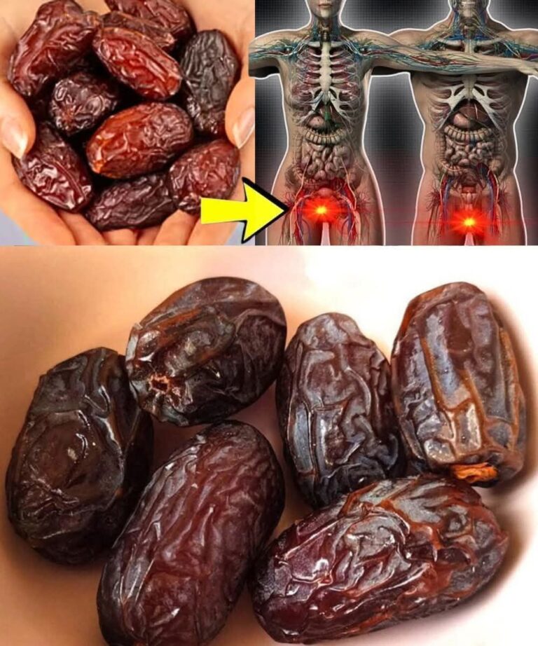 A Healthy and Delicious Way to Enjoy Dates in Your Diet