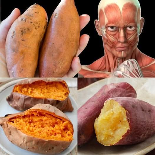 What Happens When You Start Eating Sweet Potatoes Every Day? 🍠✨