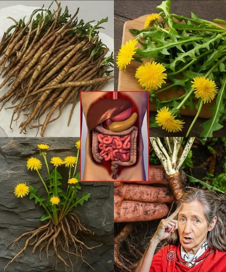 The Powerful Plant That May Boost Your Wellness: Discover the Benefits of Greater Burdock Root