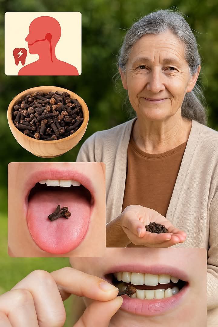 Chewing Cloves Daily: A Tiny Habit with Massive Health Benefits