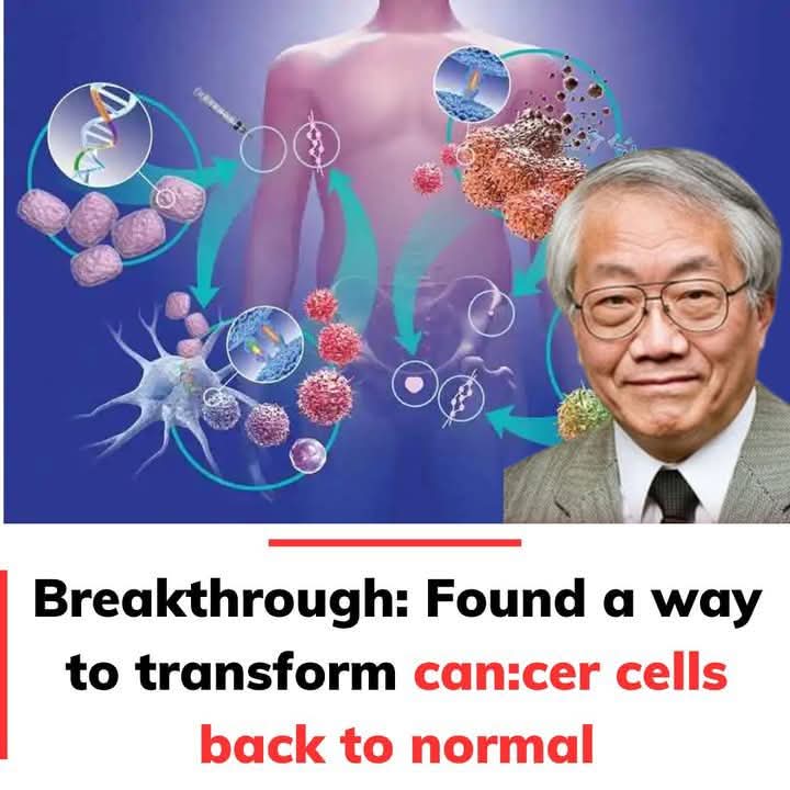 Converting cancer cells to normal cells