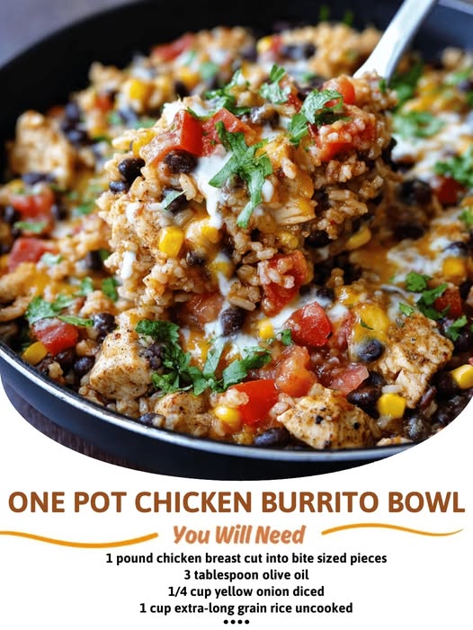 ONE POT CHICKEN BURRITO BOWL