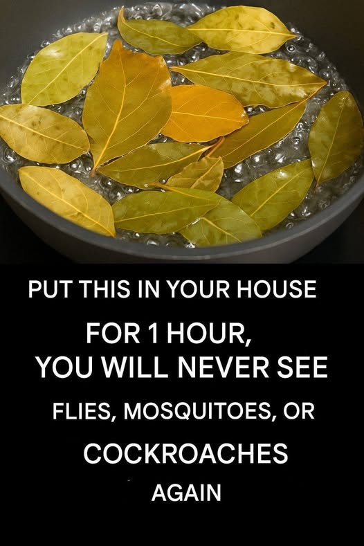 Say Goodbye to Flies, Mosquitoes, and Cockroaches by Boiling These Leaves