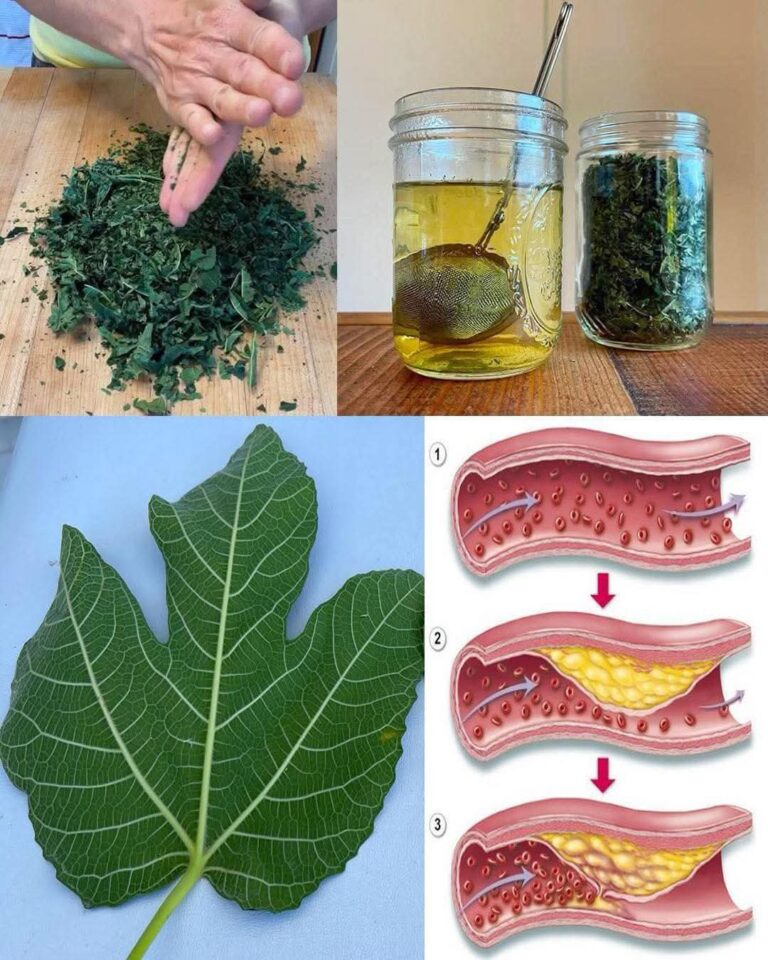 The Healing Power of Fig Leaves