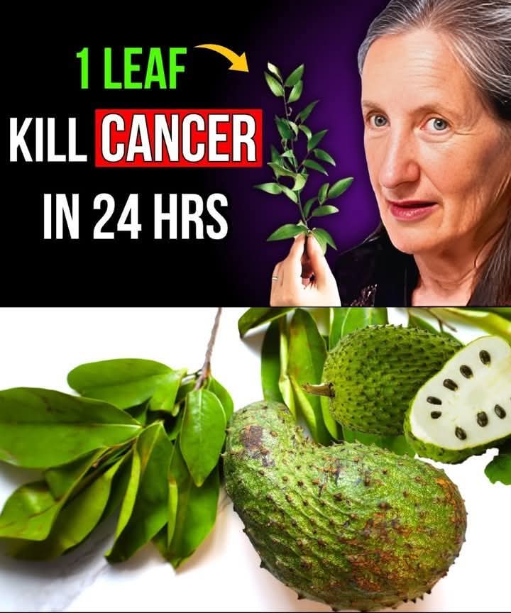 The Leaf That Destroys Cancer Cells – Pharmacies Don’t Want You to Know This | Barbara O’Neill’s Natural Remedy