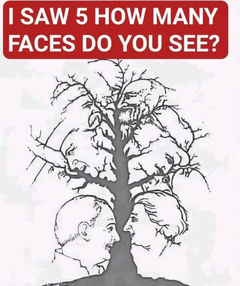 Only a few people can find all the faces hidden in this tree – are you one of them?