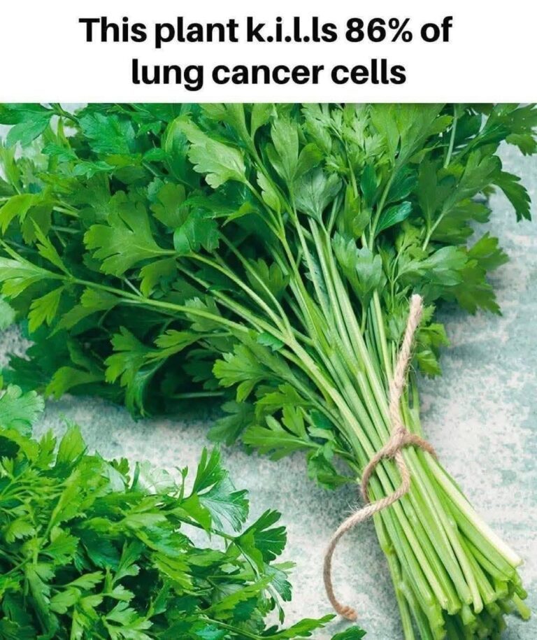 This plant k.i.l.ls 86% of lung cancer cells