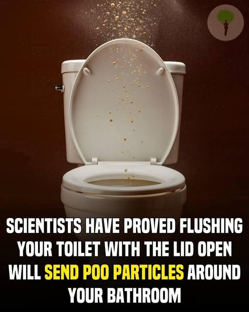 Scientists warn that flushing a toilet with the lid..