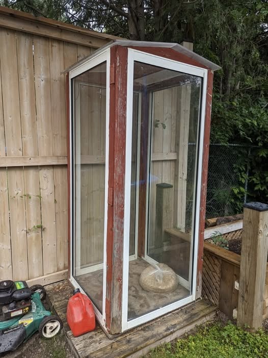 Bringing Back the Magic of the Backyard Mushroom House
