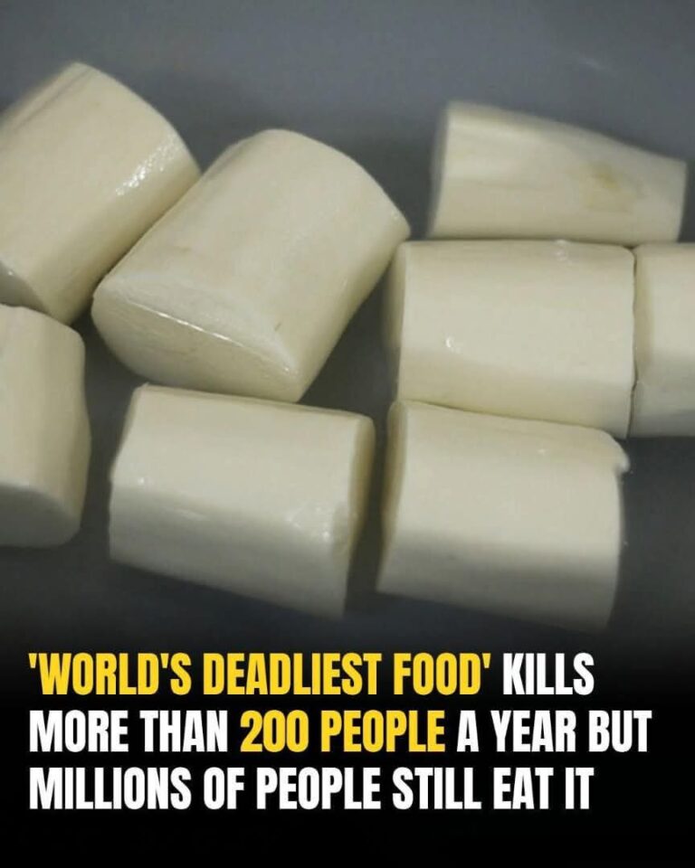 Over 200 People Are Killed By The “World’s Deadliest Food”