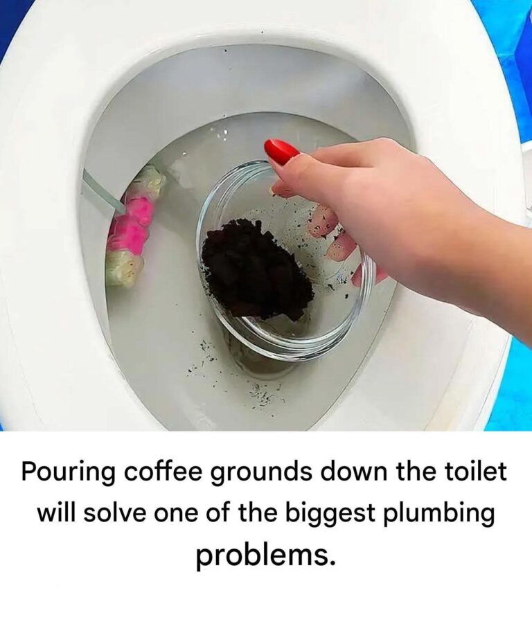Coffee grounds: the unusual trick for spotless toilets
