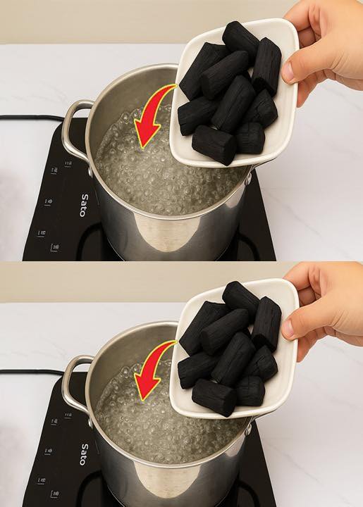 Thousands of people still don’t know this secret! Boil charcoal and start making money from it!